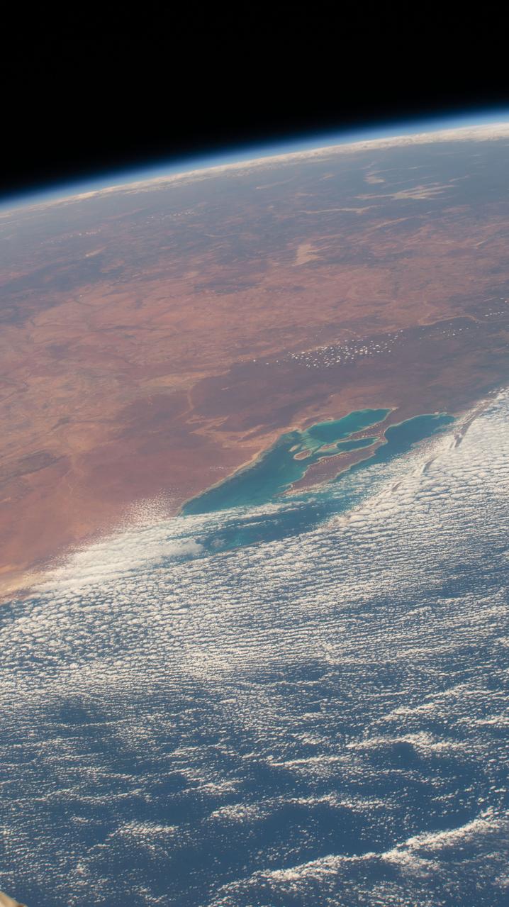 iss064e003722 (Nov. 7, 2020) --- Shark Bay on the coast of Western Australia is pictured from the International Space Station as it orbited 264 miles above the Indian Ocean.