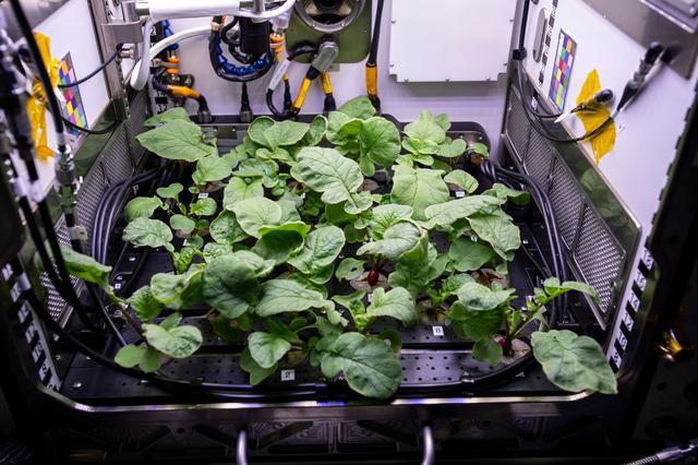 NASA image: iss064e005046