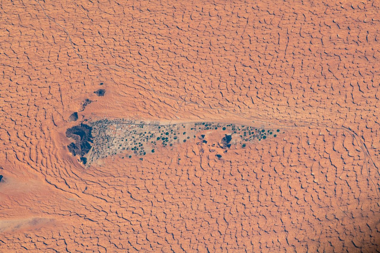 iss064e006308 (Nov. 26, 2020) --- Surrounded by the Nefud Desert, the city of Jubba, Saudi Arabia, with its abundant agriculture and plentiful water, is pictured from the International Space Station as it orbited 261 miles above.