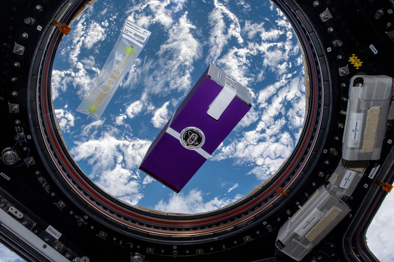 iss064e010985 (12/8/2020) --- A view of the NanoRacks Module-09 investigation in the Cupola module aboard the International Space Station (ISS). NanoRacks Module-09 is a combination of 35 experiments provided by school students from 5 different countries. The experiments are housed within a NanoRacks Module container and is a combination of biological static experiments and some experiments that require crew interaction to mix materials to activate. The experiments within the module are returned to the ground for analysis.