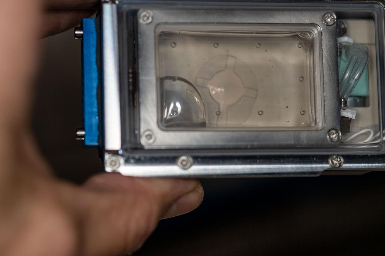 iss064e011243 (12/8/2020) --- A view of the Rotifer-B2 experiment container aboard the Internationals Space Station (ISS). The Rotifer-B2 investigation aims to explore the effects that spaceflight has on deoxyribonucleic acid (DNA) repair mechanisms of the bdelloid rotifer Adineta vaga.