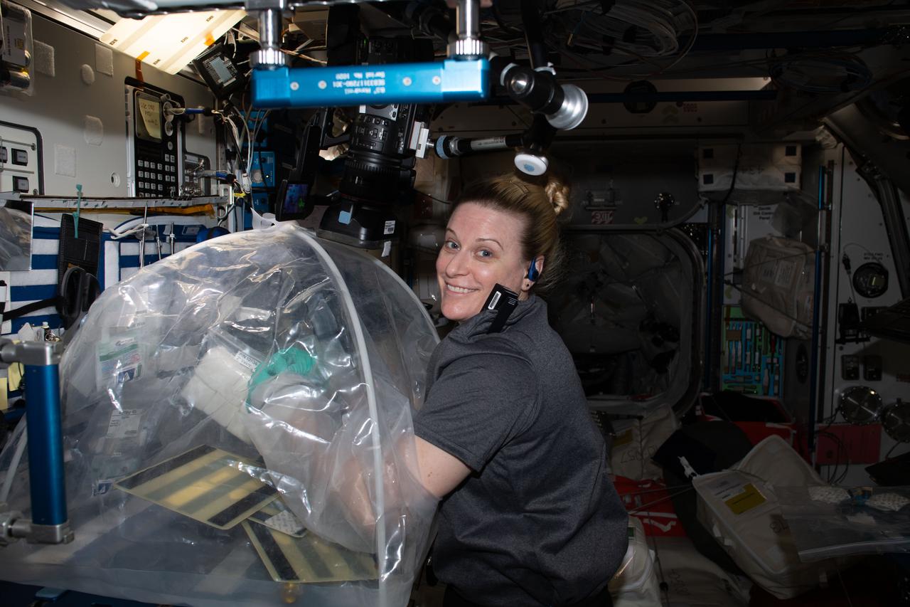 iss064e013392 (December 19, 2020) --- NASA astronaut Kate Rubins works in a glove bag on the MVP Cell-06 study. The experiment develops a biological model to study the effects of spaceflight on musculoskeletal disease. This investigation could lead to drugs to prevent the progression of this disease.
