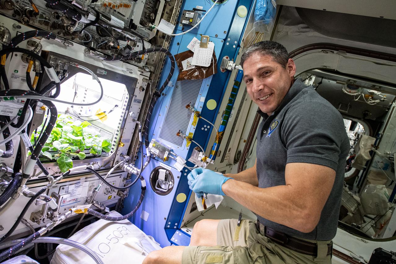 iss064e016122 (Dec. 27, 2020) --- Expedition 64 Flight Engineer and NASA astronaut Michael Hopkins poses with radish plants growing inside the Advanced Plant Habitat, a fully automated facility that is used to conduct space botany investigations on the International Space Station.