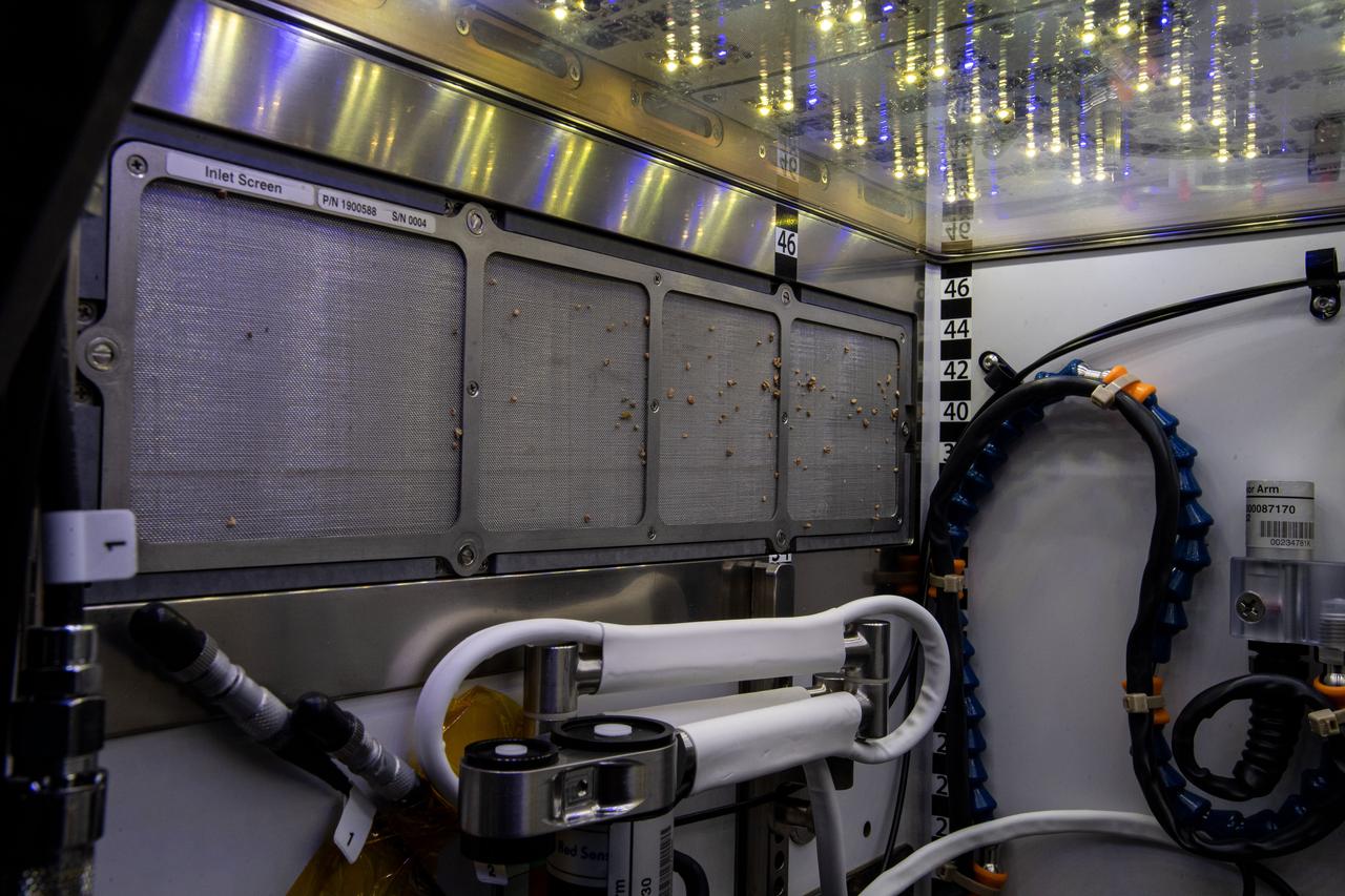 iss064e016718 (Dec. 30, 2020) --- The inside of the Advanced Plant Habitat, a fully automated space botany research facility, is pictured aboard the International Space Station.