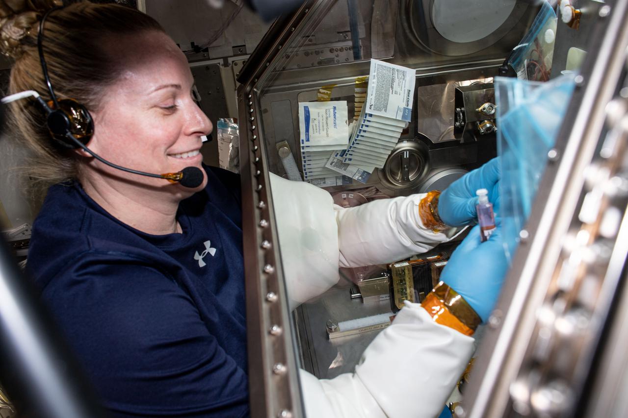 iss064e020036 (Jan. 5, 2021) --- Expedition 64 Flight Engineer and NASA astronaut Kate Rubins explores the space-caused aging and weakening of heart muscles that astronauts experience for the Cardinal Heart study. The experiment uses engineered heart tissue samples and is taking place inside the Life Sciences Glovebox located in the Japanese Kibo laboratory module.