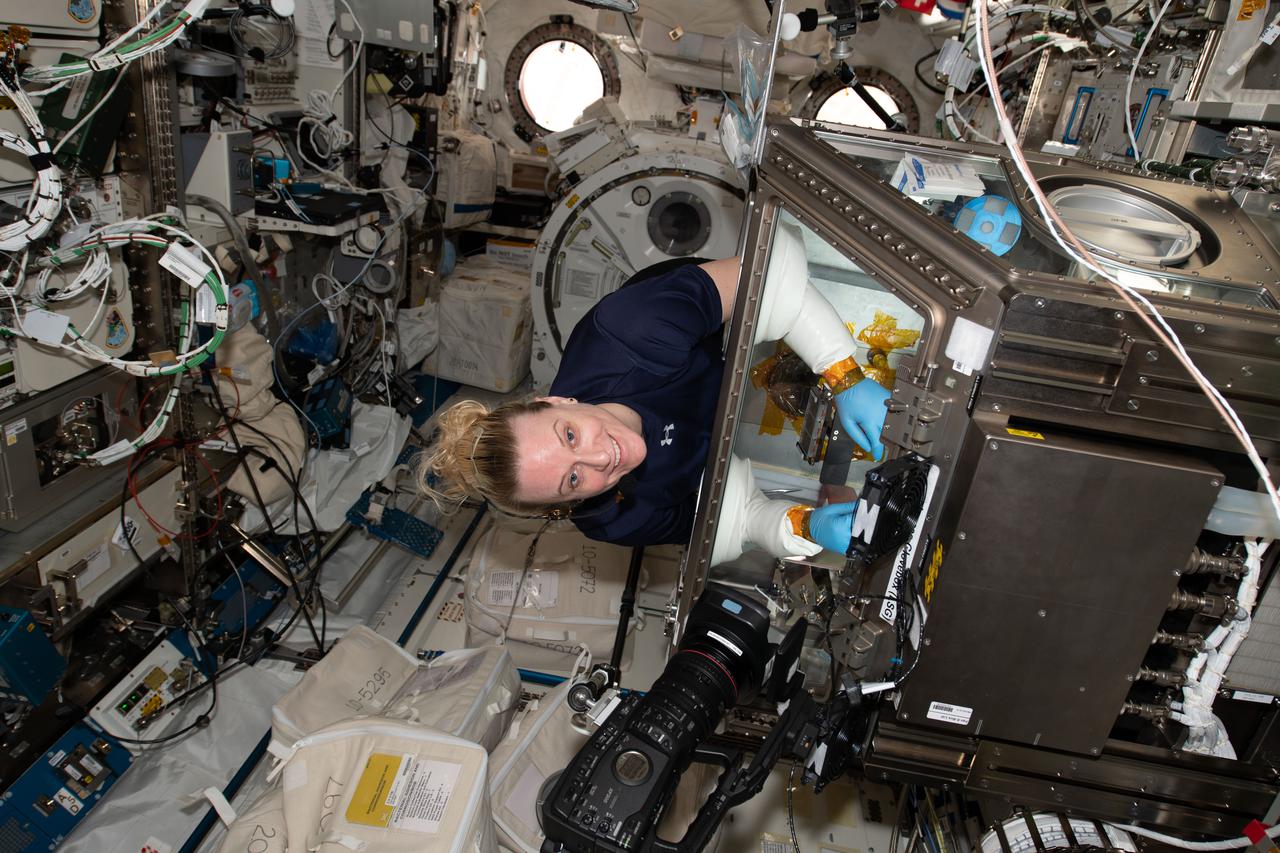 iss064e020688 (Jan. 7, 2021) --- NASA astronaut Kate Rubins works in the Kibo laboratory module's Life Sciences Glovebox servicing samples of microbes for an experiment that seeks to understand the microbial risk to a spacecraft’s environment.