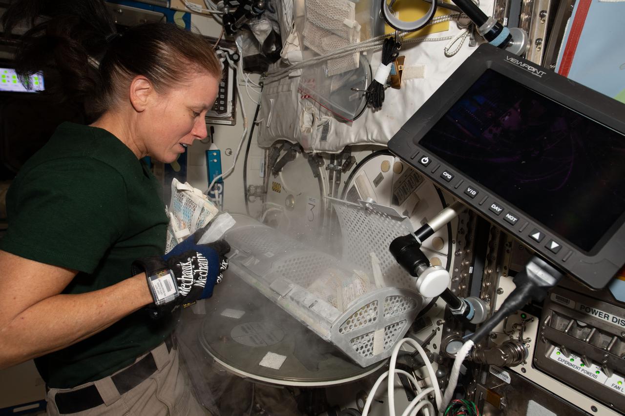 iss064e024596 (Jan. 21, 2021) --- NASA astronaut and Expedition 64 Flight Engineer Shannon Walker inspects a science freezer that preserves biological samples for later analysis on Earth and on the International Space Station.