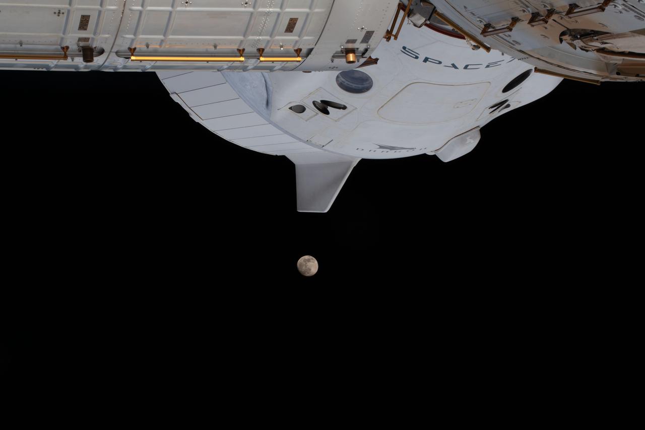 iss064e026716 (Jan. 26, 2021) --- The waxing gibbous moon is pictured below a portion of the SpaceX Crew Dragon spacecraft docked to the Harmony module's forward international docking adapter. The International Space Station was orbiting 263 miles above Atlanta, Georgia, when this photograph was taken.