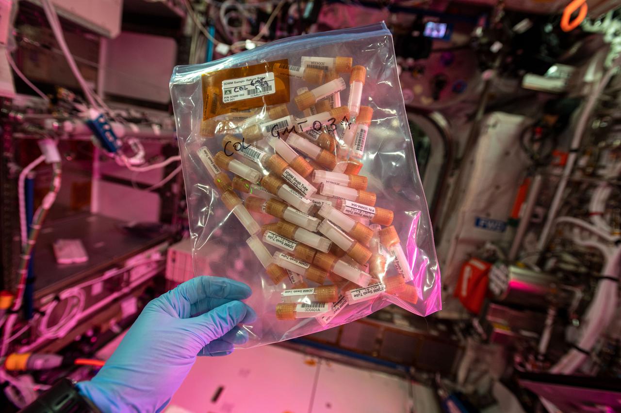 iss064e029074 (February 3, 2021) --- Some of the 1,000 samples taken by swabbing various locations aboard the International Space Station for the Three-dimensional Microbial Monitoring (3DMM) of ISS Environment study. By advancing our understanding of the space station microbiome, this work helps identify potential risks and supports developing countermeasures to mitigate those risks.