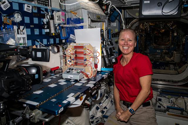 NASA image: iss064e029079