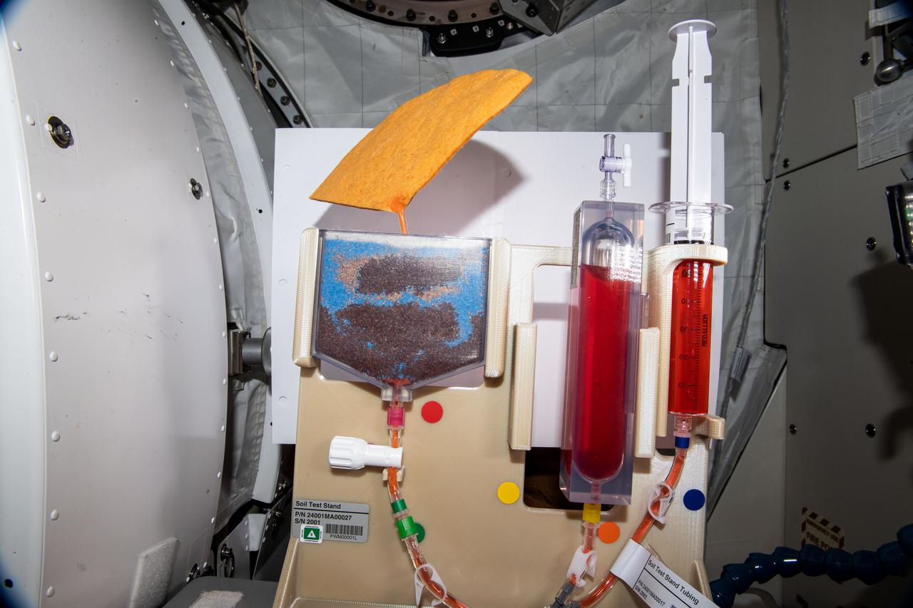 iss064e030235 (2/8/2021) --- A view of the Plant Water Management (PWM) investigation aboard the International space Station (ISS). Plant Water Management demonstrates a hydroponic method for ensuring adequate hydration and aeration to the root zone in order to sustain plants from germination through harvest. Low-gravity capillary fluidics deliver water in single and multiple plant production chambers, and researchers compare growth of individual plants in microgravity and normal gravity.