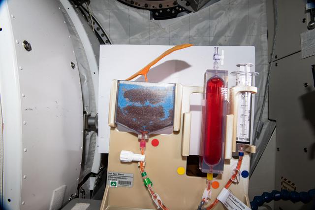 NASA image: iss064e030275