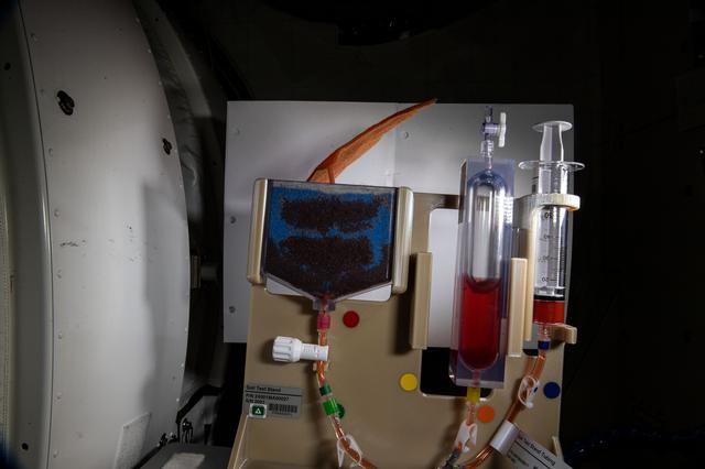 NASA image: iss064e030517