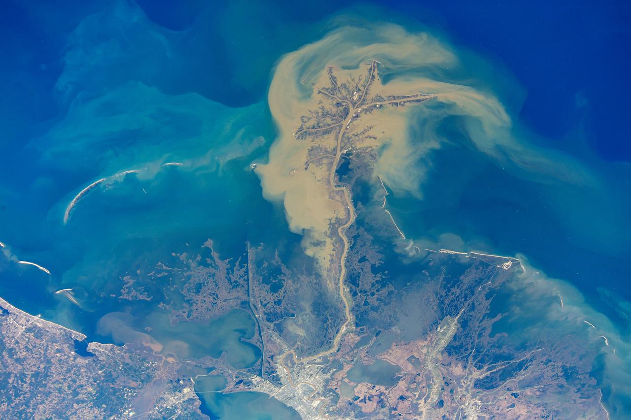 iss064e037443 (Feb. 23, 2021) --- The mouth of the Mississippi River, emptying into the Gulf of Mexico south of New Orleans, Louisiana, is pictured from the International Space Station as it orbited 262 miles above. Credit: Roscosmos