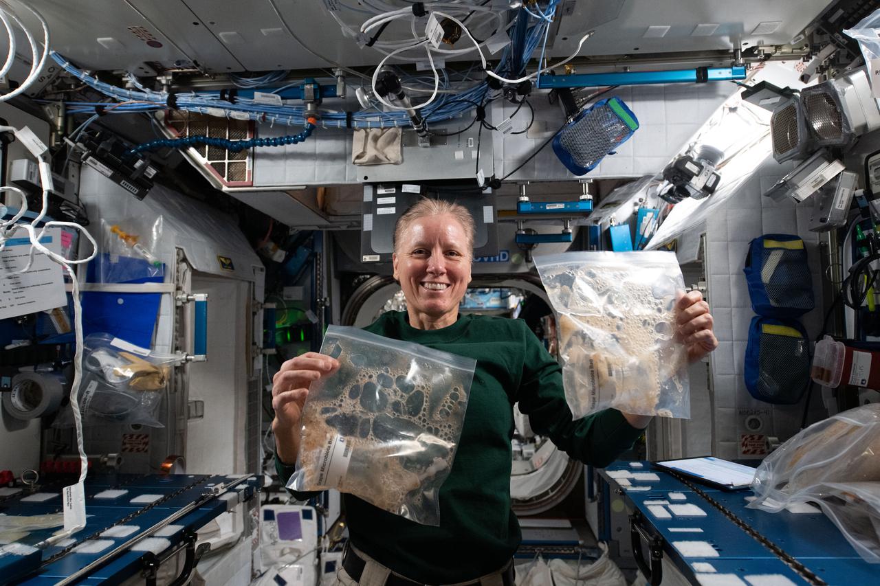 iss064e042079 (March 13, 2021) --- NASA astronaut Shannon Walker exhibits sample bags collected from the Grape Juice Fermentation study aboard the International Space Station. The space agriculture investigation explores the beneficial effects of microbial communities among food crops to obtain the highest nutritional yield in the smallest possible package to support long-term human spaceflight missions