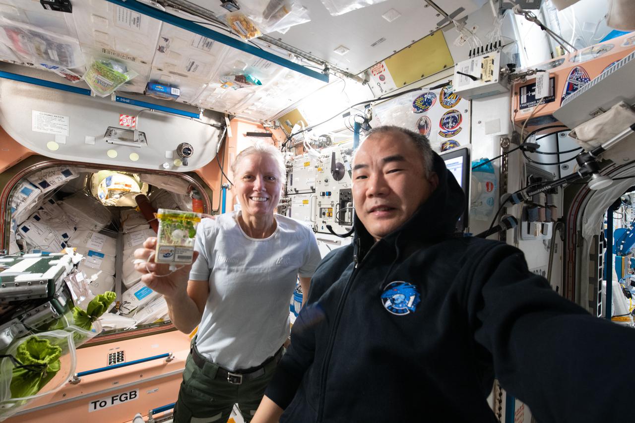 iss064e044325 (March 18, 2021) --- Astronauts Shannon Walker of NASA and Soichi Noguchi of JAXA (Japan Aerospace Exploration Agency) are pictured in the International Space Station's Unity module as Walker displays plants grown for the Asian Herbs in Space space agriculture study.
