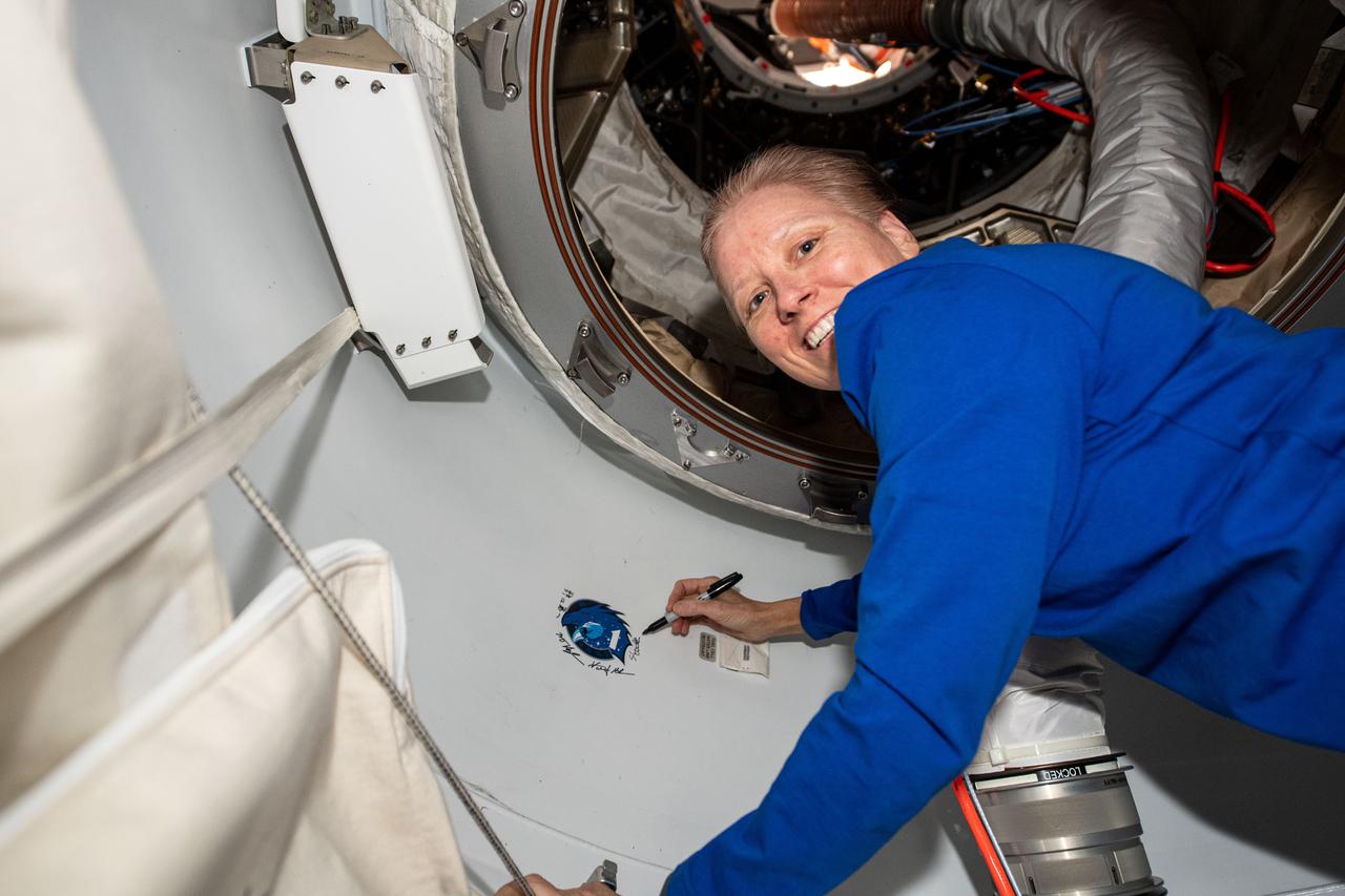 iss064e052207 (April 4, 2021) --- SpaceX Crew-1 Mission Specialist Shannon Walker of NASA signs her name next to the mission insignia affixed to the vestibule between the Crew Dragon spacecraft and the Harmony module's forward international docking adapter.
