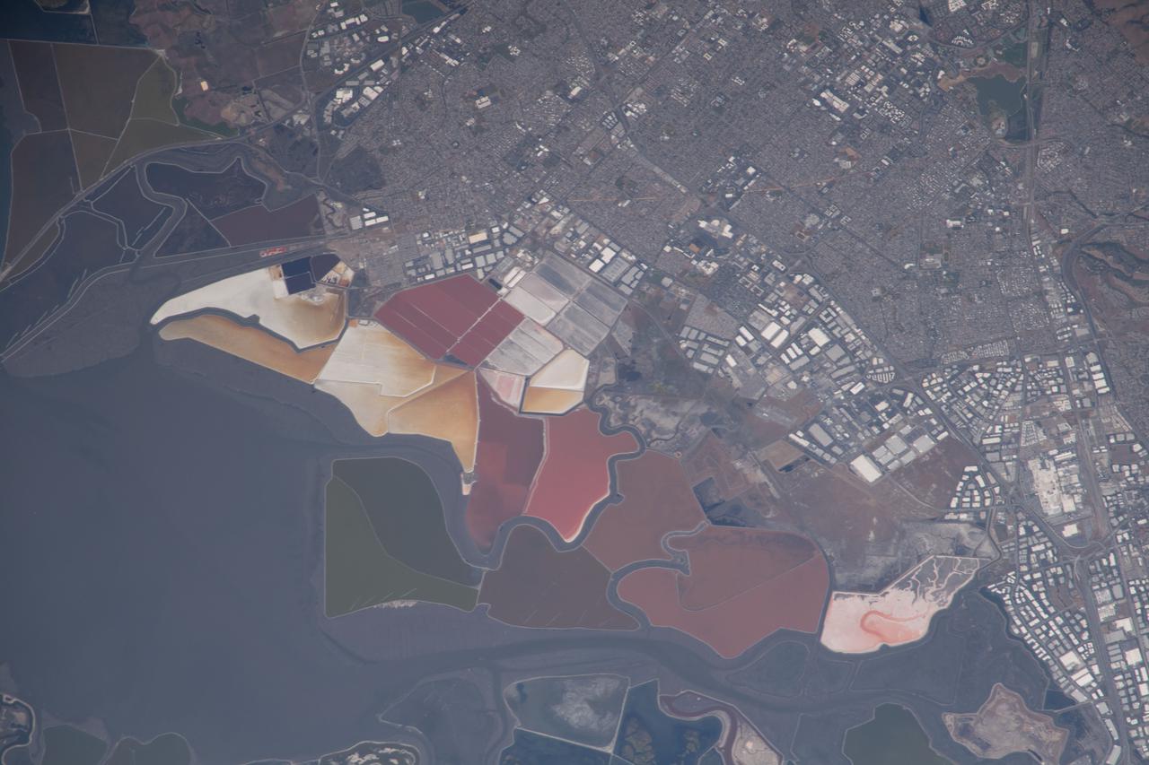 iss065e007130 (April 27, 2021) --- The southern end of San Francisco Bay hosts Don Edwards San Francisco Bay National Wildlife Refuge and is surrounded by the California cities of Newark and Baylands. This photograph was taken from the International Space Station as it orbited 263 miles above the Pacific Ocean near the coast.