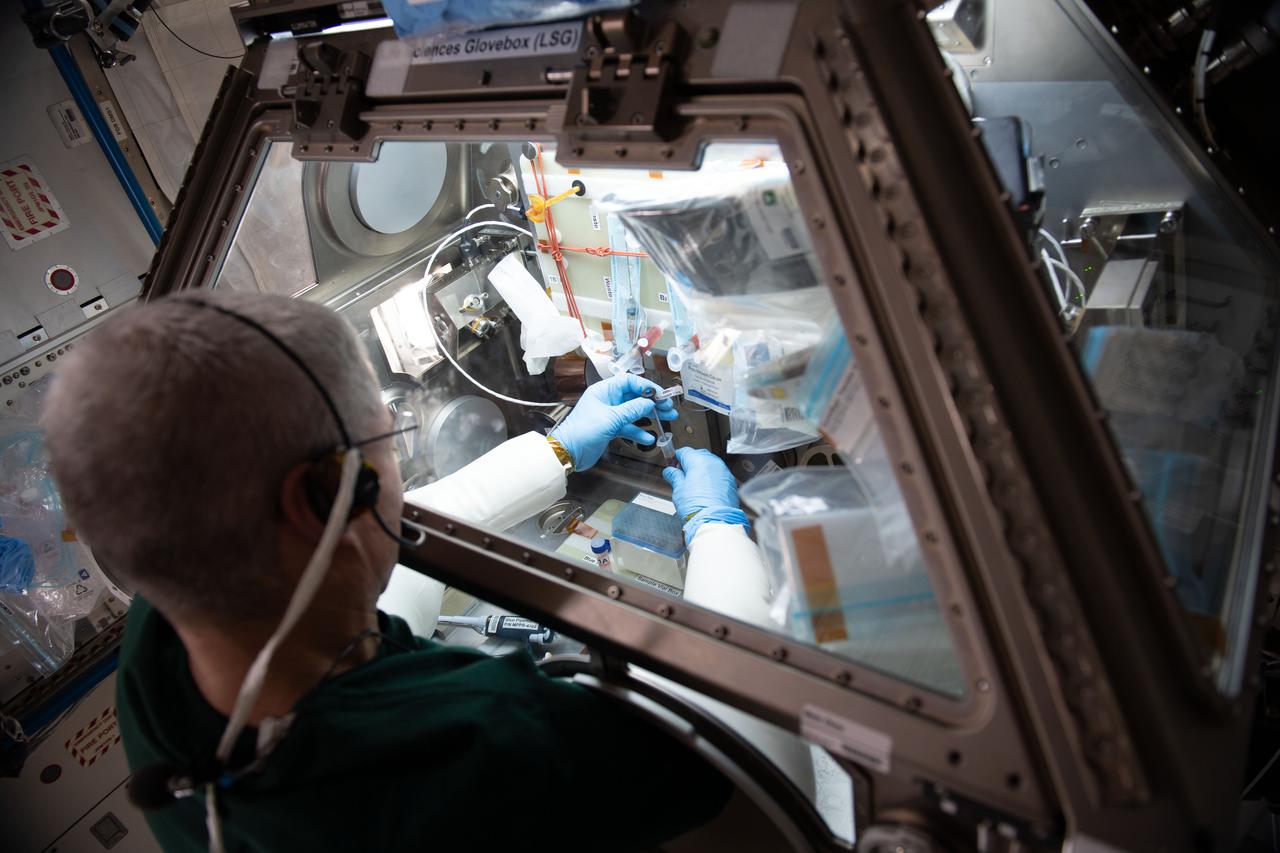 iss065e018995 (May 4, 2021) --- NASA astronaut and Expedition 65 Flight Engineer Mark Vande Hei works inside the Life Science Glovebox (LSG) for the Celestial Immunity study that may provide insights into new vaccines and drugs possibly advancing the commercialization of space. The LSG is located in the Kibo laboratory module from the Japan Aerospace Exploration Agency.