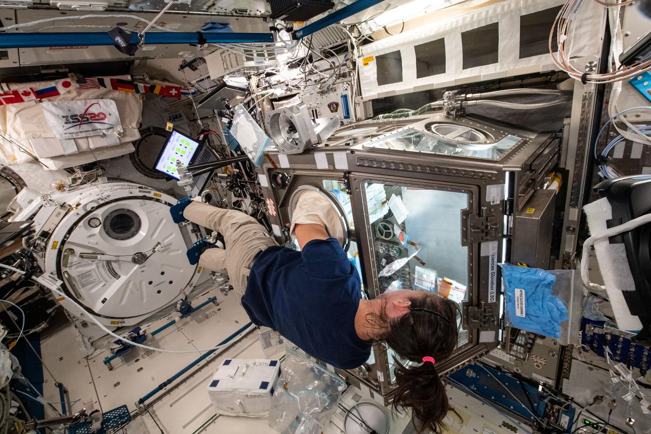 iss065e023172 (May 6, 2021) --- NASA astronaut and Expedition 65 Flight Engineer Megan McArthur services donor cells inside the Kibo laboratory module's Life Science Glovebox for the Celestial Immunity study. The human research investigation may provide insights into new vaccines and drugs possibly advancing the commercialization of space.