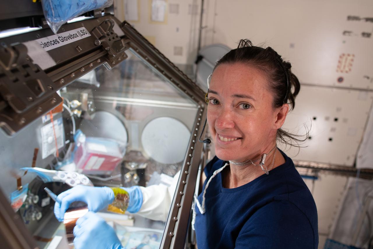 iss065e026426 (May 6, 2021) --- NASA astronaut and Expedition 65 Flight Engineer Megan McArthur services donor cells inside the Kibo laboratory module's Life Science Glovebox for the Celestial Immunity study. The human research investigation may provide insights into new vaccines and drugs possibly advancing the commercialization of space.