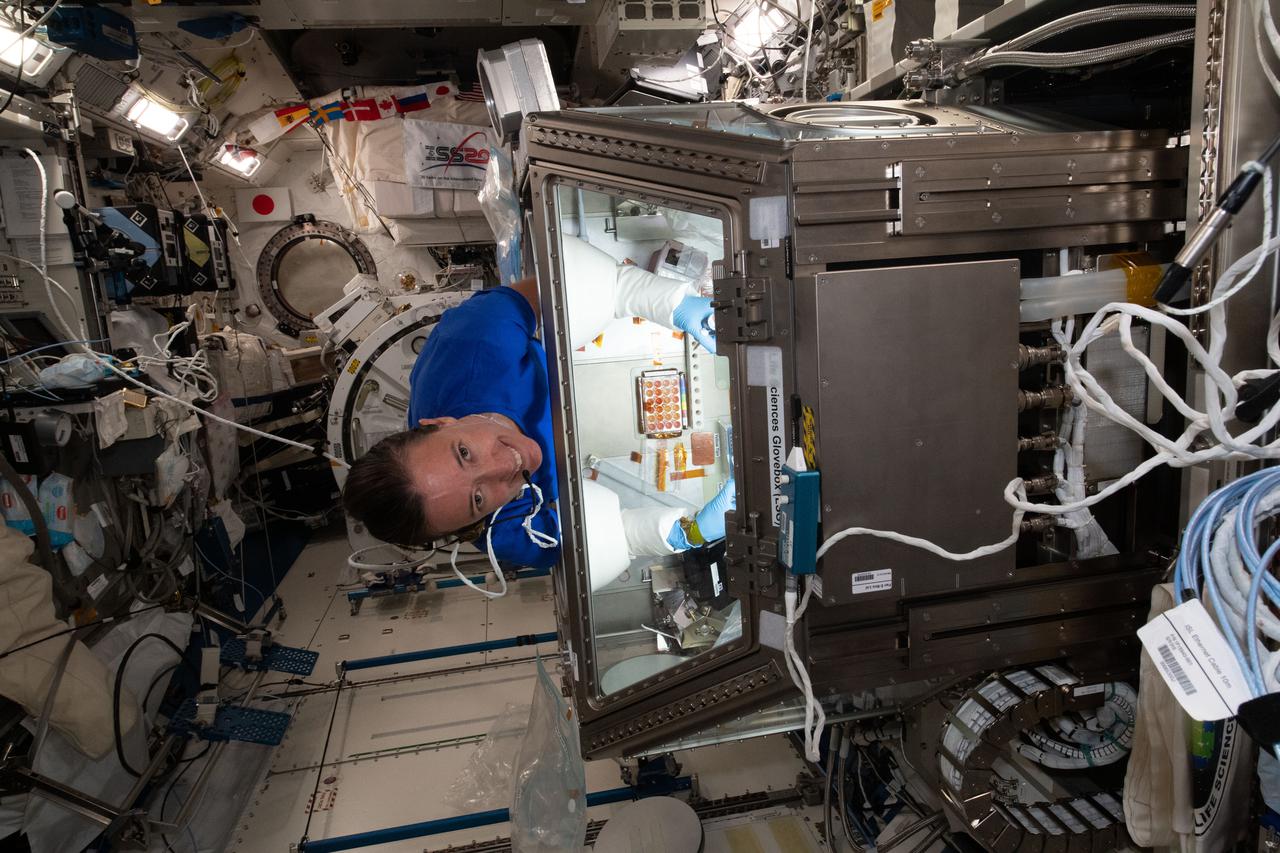 iss065e026996 (5/8/2021) --- NASA astronaut Megan McArthur services donor cells inside the Kibo laboratory module's Life Science Glovebox for the Celestial Immunity study. The human research investigation may provide insights into new vaccines and drugs possibly advancing the commercialization of space.