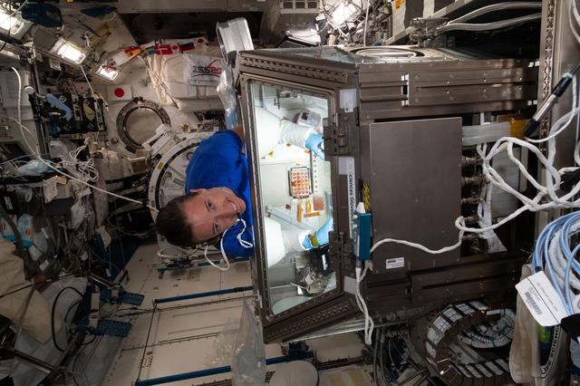 NASA image: iss065e026996