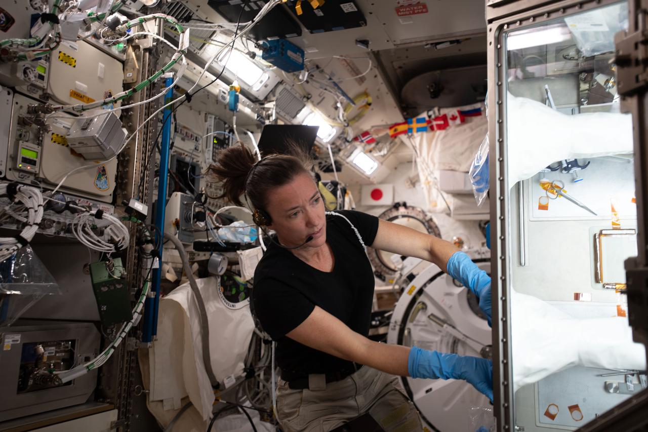 iss065e033958 (May 12, 2021) --- NASA astronaut and Expedition 65 Flight Engineer Megan McArthur services donor cell samples inside the Kibo laboratory module's Life Science Glovebox. The samples are being compared to cells on Earth so scientists can document the significant differences in microgravity. The Celestial Immunity study’s results may provide insights into new vaccines and drugs and advance the commercialization of space.