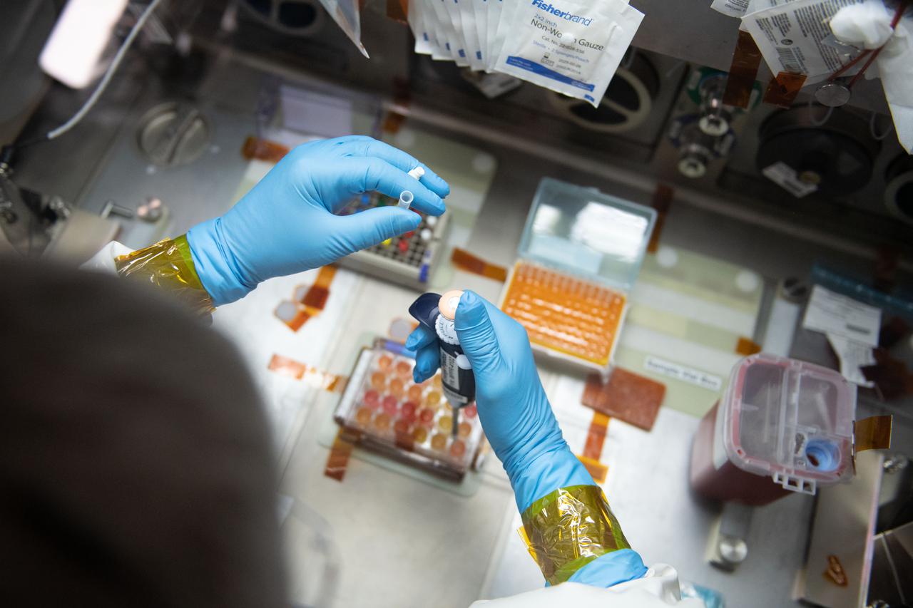 iss065e056790 (5/22/2021) --- NASA astronaut Mark Vande Hei works inside the Life Science Glovebox (LSG) for the Celestial Immunity study that may provide insights into new vaccines and drugs possibly advancing the commercialization of space. The LSG is located in the Kibo laboratory module from the Japan Aerospace Exploration Agency.
