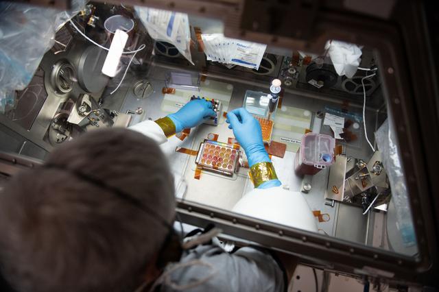 NASA image: iss065e056805