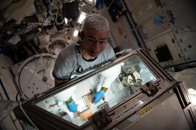 NASA image: iss065e056808