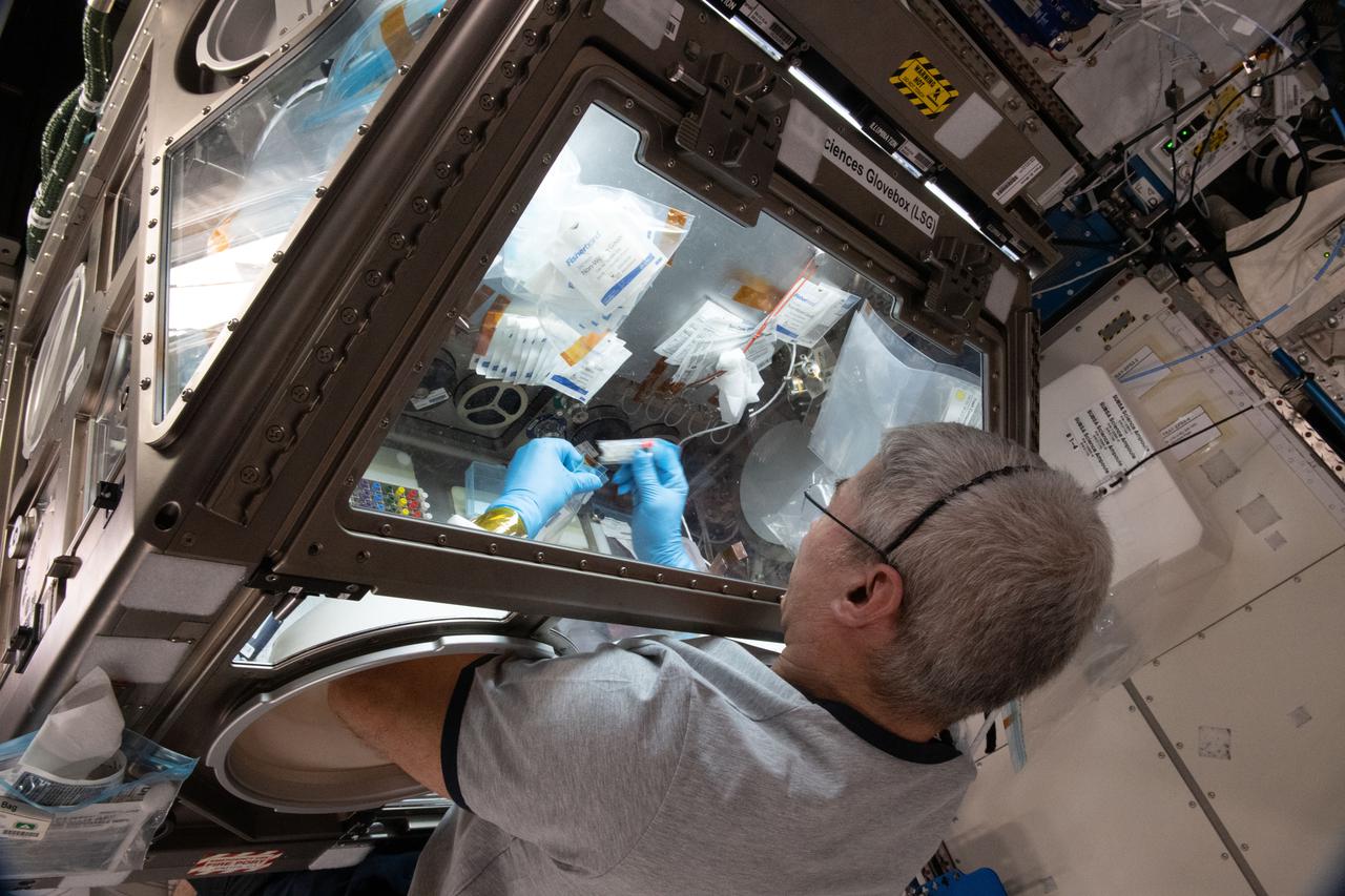 iss065e056832 (May 22, 2021) --- NASA astronaut and Expedition 65 Flight Engineer Mark Vande Hei services donor cell samples inside the Kibo laboratory module's Life Science Glovebox. The samples for the Celestial Immunity study are compared to cell cultures harvested on Earth and may help scientists develop new vaccines and drugs to treat diseases on Earth.