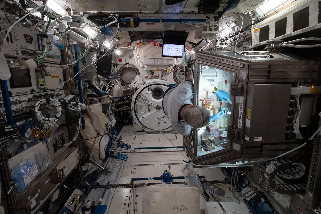 iss065e058810 (May 22, 2021) --- NASA astronaut and Expedition 65 Flight Engineer Mark Vande Hei services donor cell samples inside the Kibo laboratory module's Life Science Glovebox. The samples for the Celestial Immunity study are compared to cell cultures harvested on Earth and may help scientists develop new vaccines and drugs to treat diseases on Earth.
