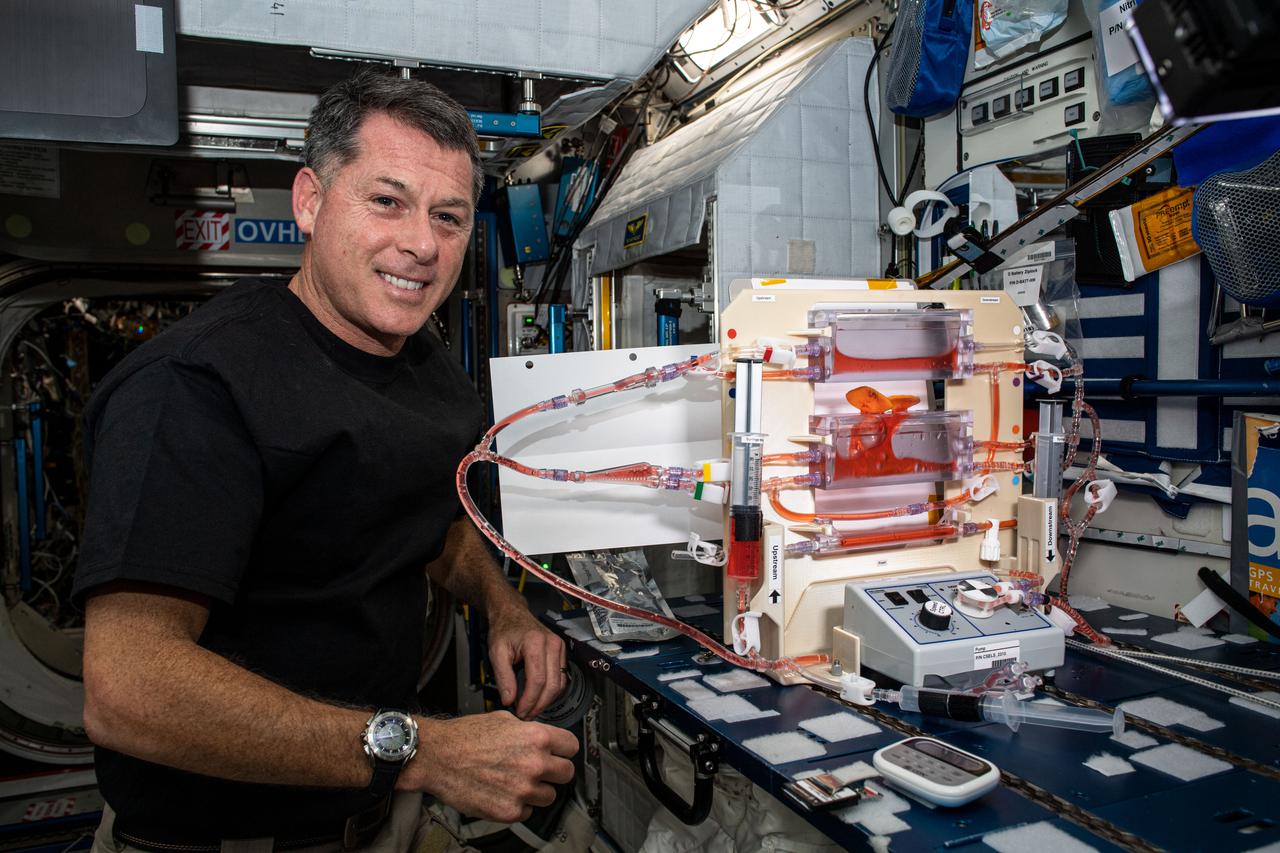 iss065e074538 (May 27, 2021) --- NASA astronaut and Expedition 65 Flight Engineer Shane Kimbrough conducts cylinder test operations for the Plant Water Management experiment. The space botany study explores hydroponics in microgravity and may also improve watering systems on Earth.