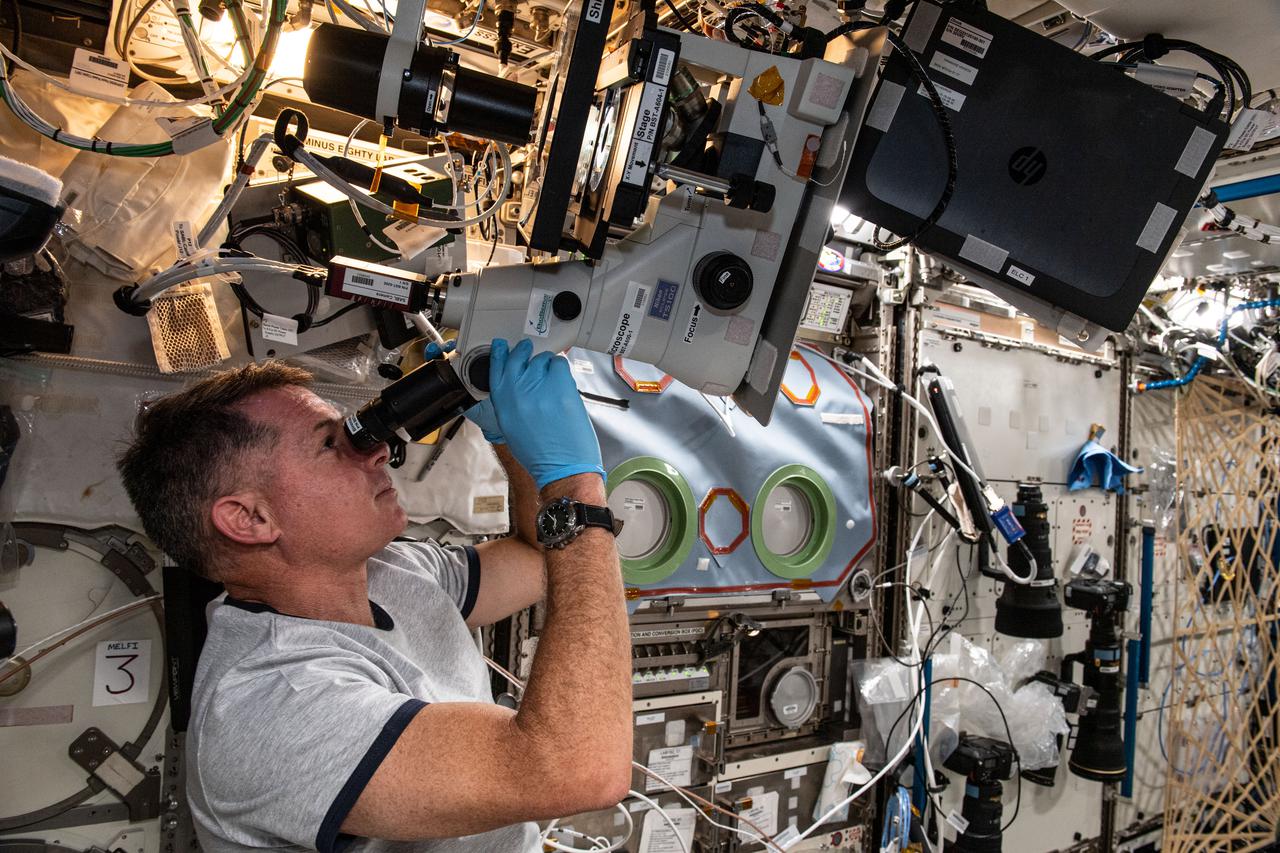 iss065e084430 (May 31, 2021) --- NASA astronaut and Expedition 65 Flight Engineer Shane Kimbrough sets up a microscope in the U.S. Destiny laboratory module to observe and photograph samples for the Real-Time Protein Crystal Growth experiment. Results have implications for biotechnology and pharmaceutical companies on Earth and may advance the commercialization of space.