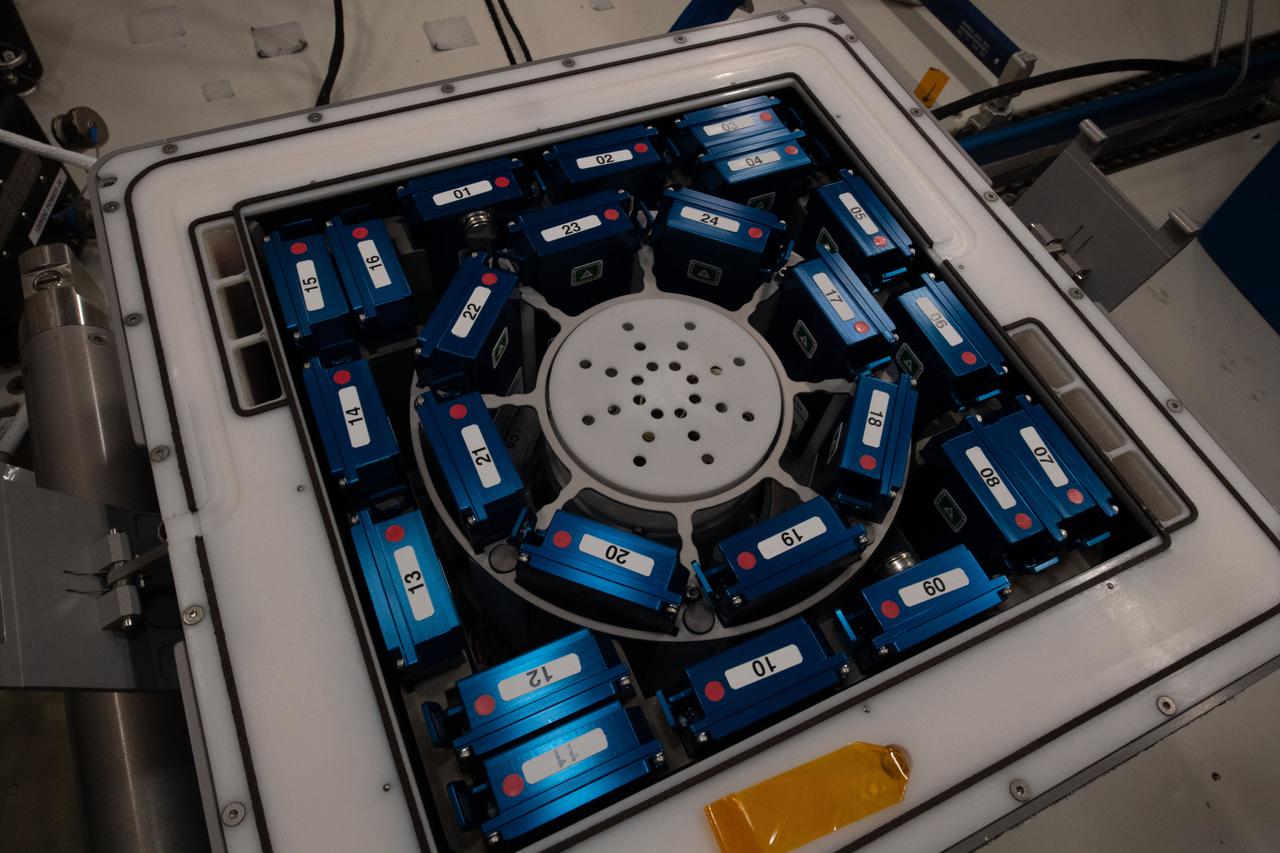 iss065e087579 (June 5, 2021) --- A view of the Kubik incubator with the experiment containers for the Molecular Muscle Experiment-2 (MME-2) inside the Columbus laboratory module. MME-2 tests a series of drugs to see if they can improve health in space possibly leading to new therapeutic targets for examination on Earth.