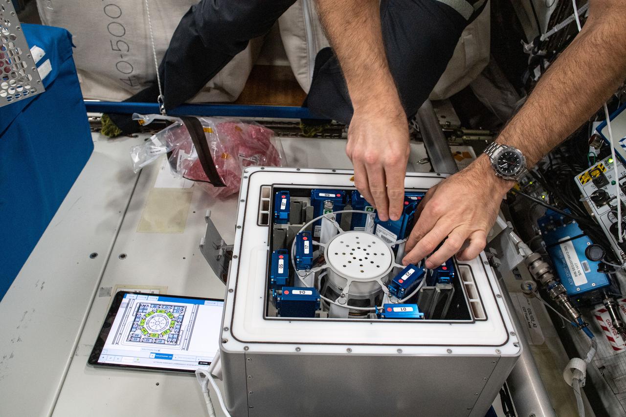iss065e092421 (June 5, 2021) --- European Space Agency (ESA) astronaut Thomas Pesquet installs the Molecular Muscle Experiment-2 (MME-2) inside the Columbus laboratory module. MME-2 tests a series of drugs to see if they can improve health in space possibly leading to new therapeutic targets for examination on Earth.