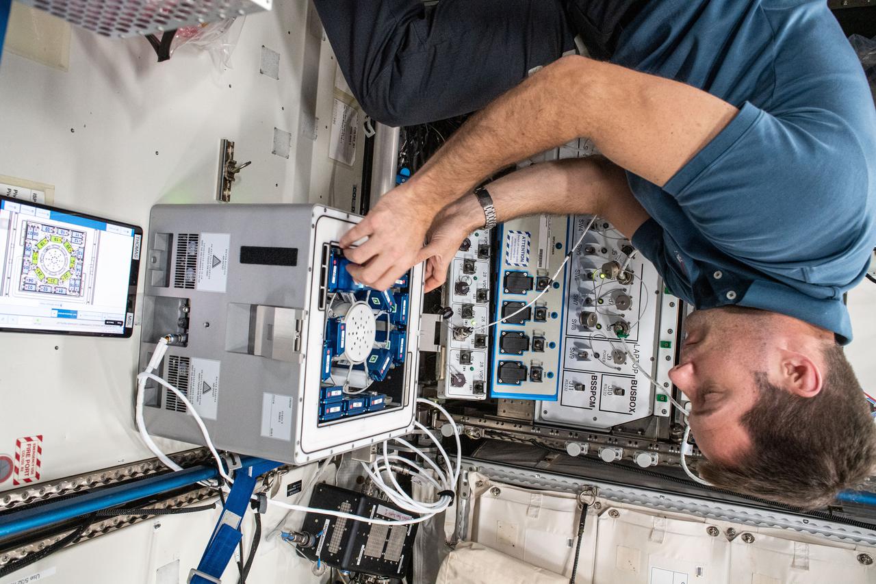 iss065e092424 (June 5, 2021) --- European Space Agency (ESA) astronaut Thomas Pesquet installs the Molecular Muscle Experiment-2 (MME-2) inside the Columbus laboratory module. MME-2 tests a series of drugs to see if they can improve health in space possibly leading to new therapeutic targets for examination on Earth.