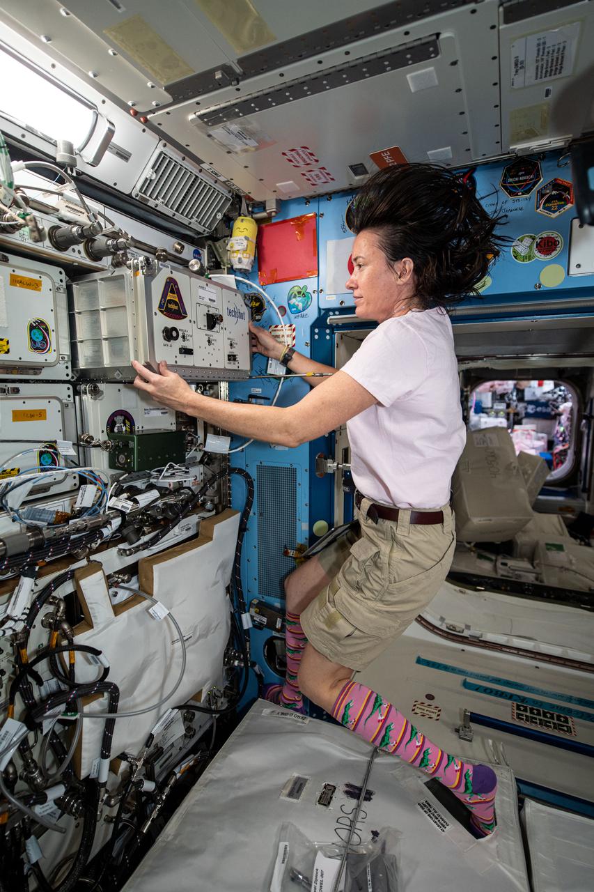 iss065e093501 (June 7, 2021) --- NASA astronaut Megan McArthur installs a new ADSEP-2 (Advanced Space Experiment Processor-2) containing ADSEP-UMAMI samples inside the Kibo laboratory module aboard the International Space Station (ISS).  The Understanding of Microgravity on Animal-Microbe Interactions (UMAMI) investigation examines the effects of spaceflight on the molecular and chemical interactions between beneficial microbes and their animal hosts.  The ADSEP-2 facility supports observations of biological or physical samples and can also be operated aboard the Cargo Dragon and Northrop Grumman Cygnus resupply ships.