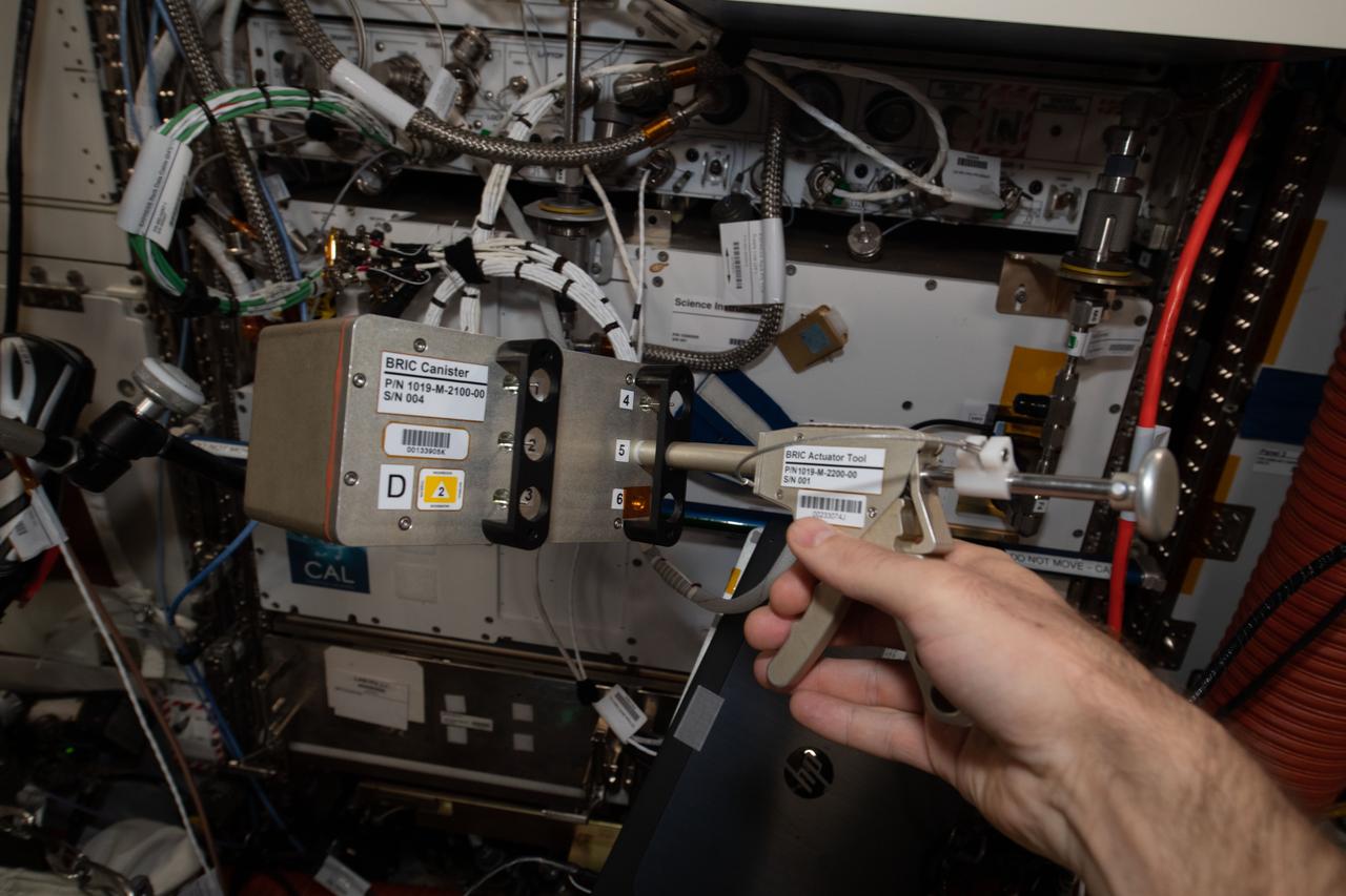 iss065e094066 (6/9/2021) --- A close-up view of the a BRIC-24 Canister and actuator tool. Biological Research In Canisters-24 (BRIC-24) tests how space affects organelle contacts and vacuole fusion in plants, systems that may be important for plant gravity sensing and response. Vacuoles are organelles in plant cells that have important functions.
