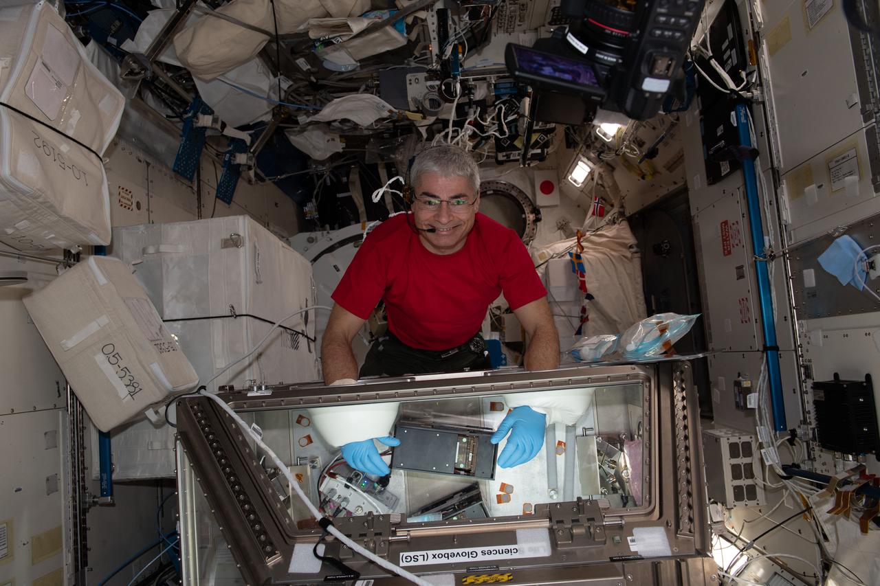 iss065e094097 (June 9, 2021) --- NASA astronaut and Expedition 65 Flight Engineer Mark Vande Hei conducts research inside the Life Science Glovebox for the Kidney Cells-02 experiment that seeks to improve treatments for kidney stones and osteoporosis.