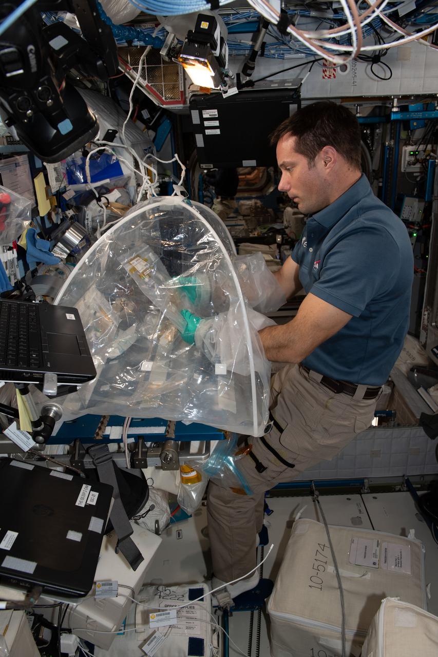 iss065e094111 (June 9, 2021) --- Expedition 65 Flight Engineer Thomas Pesquet of ESA (European Space Agency) works inside the Portable Glovebag for the Oral Biofilms experiment. The human research study observes how bacteria is affected by microgravity and investigates ways to counteract any potential harmful changes.