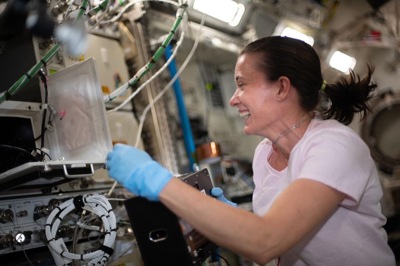iss065e094183 (June 9, 2021) --- NASA astronaut and Expedition 65 Flight Engineer Megan McArthur removes Kidney Cells-02 hardware inside the Space Automated Bioproduct Laboratory and swaps media inside the Microgravity Science Glovebox. The human research study seeks to improve treatments for kidney stones and osteoporosis.