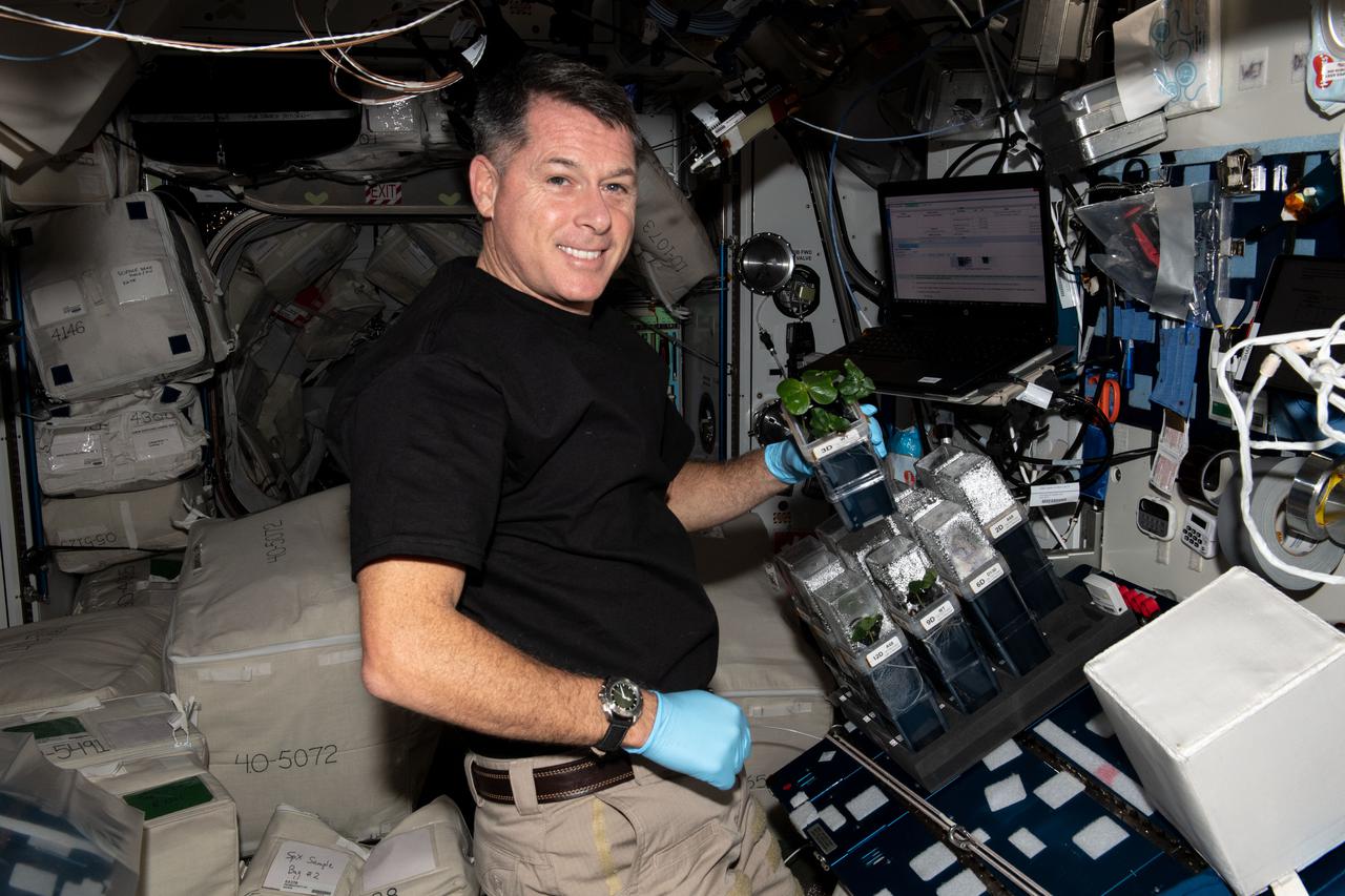 iss065e096005 (June 11, 2021) --- NASA astronaut and Expedition 65 Flight Engineer Shane Kimbrough checks on cotton plants growing for the TICTOC space botany study. The investigation looks at gene expression and root growth in microgravity which may improve both space agriculture and cotton cultivation on Earth.