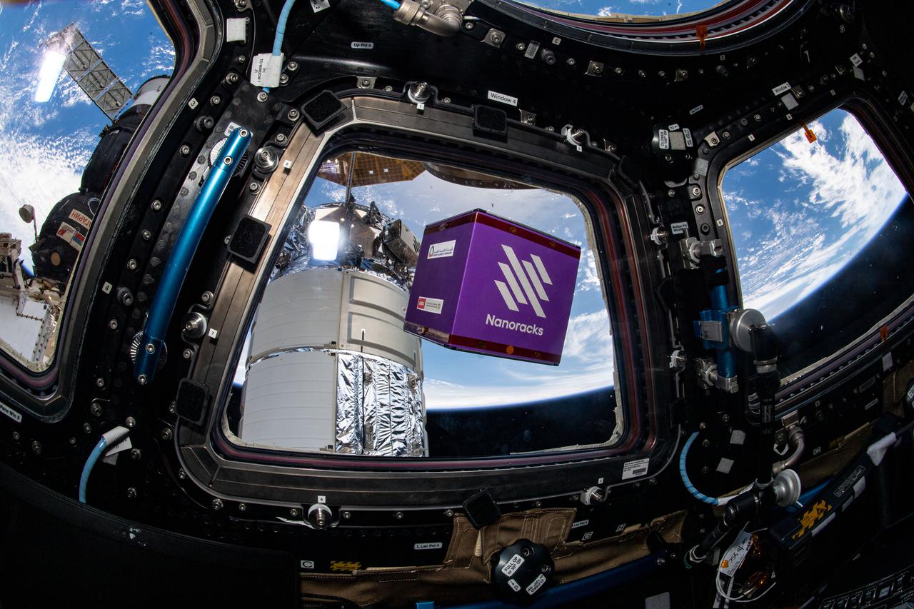 iss065e096314 (June 11, 2021) --- A NanoRacks module, a cube-shaped commercial research device, is pictured free-floating inside the cupola, the International Space Station's "window to the world." Just outside the cupola is the Northrop Grumman Cygnus space freighter attached to the Unity module's Earth-facing port.