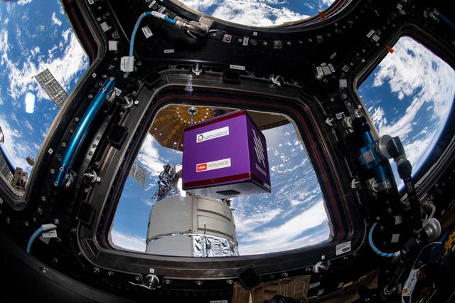 NASA image: iss065e096320