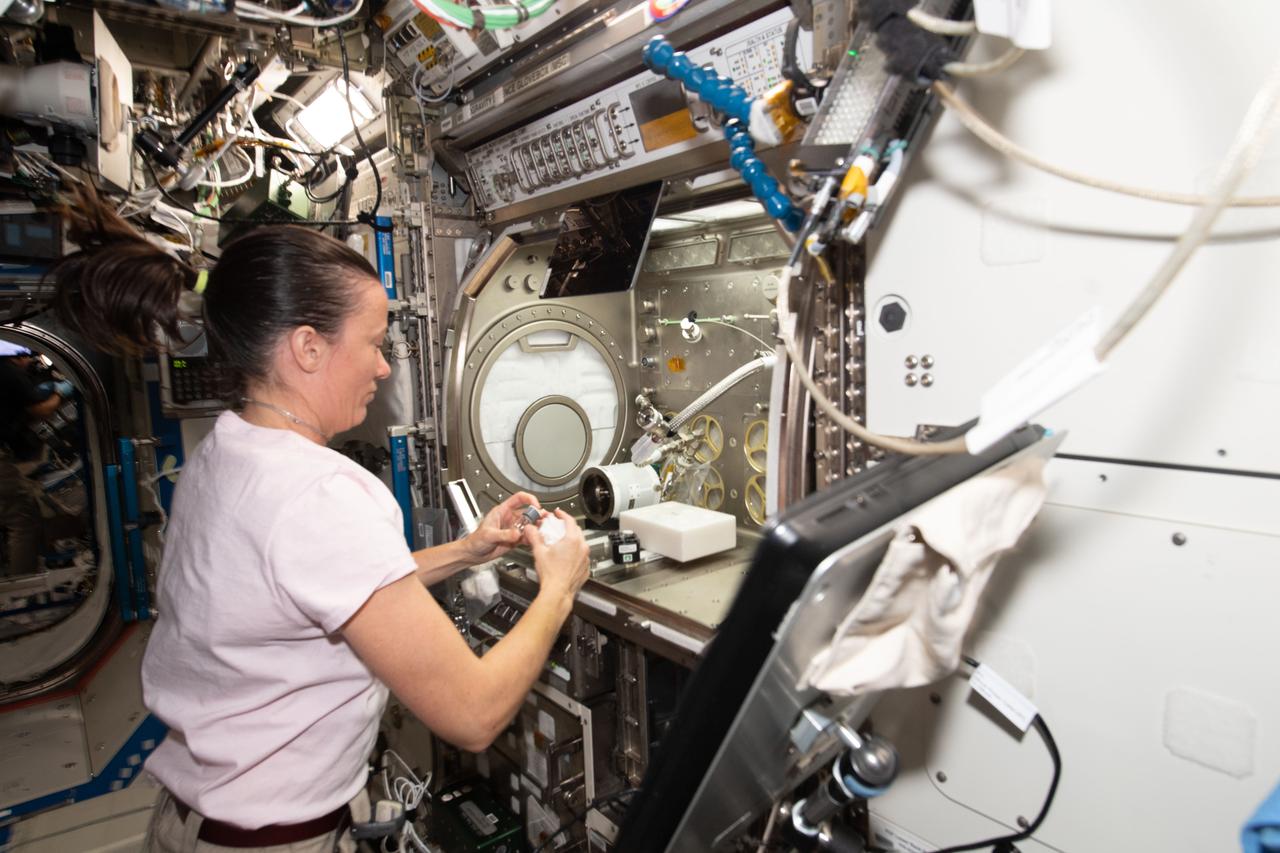 iss065e103879 (June 14, 2021) --- NASA astronaut and Expedition 65 Flight Engineer Megan McArthur conducts research inside the Microgravity Science Glovebox for the Lyophilization-2 pharmaceutical experiment seeking to improve the quality and extend the shelf-life of medicines on Earth and in space.