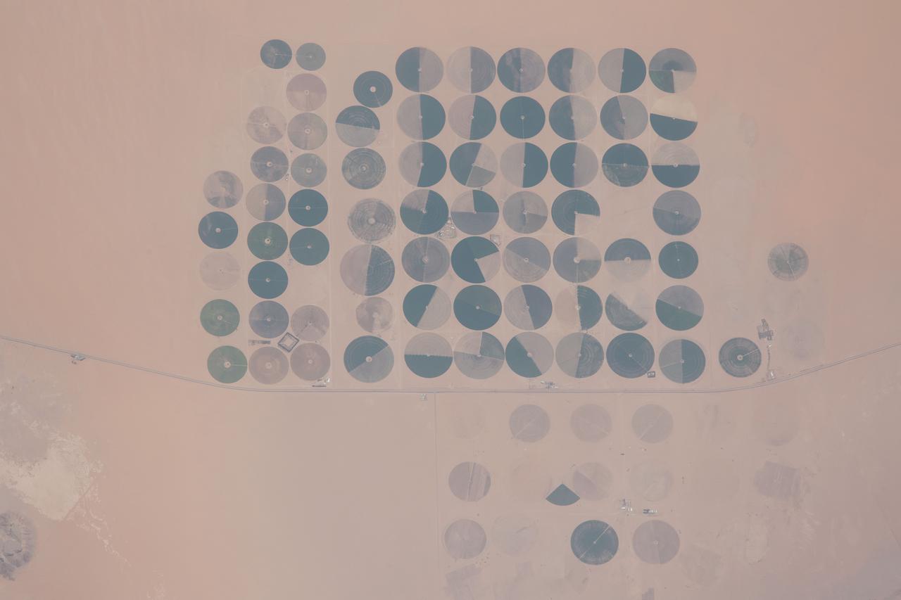 iss065e143195 (June 23, 2021) --- An agricultural development is pictured in the Saudi Arabian town of Wadi Al-Dawasir as the International Space Station orbited 260 miles above.