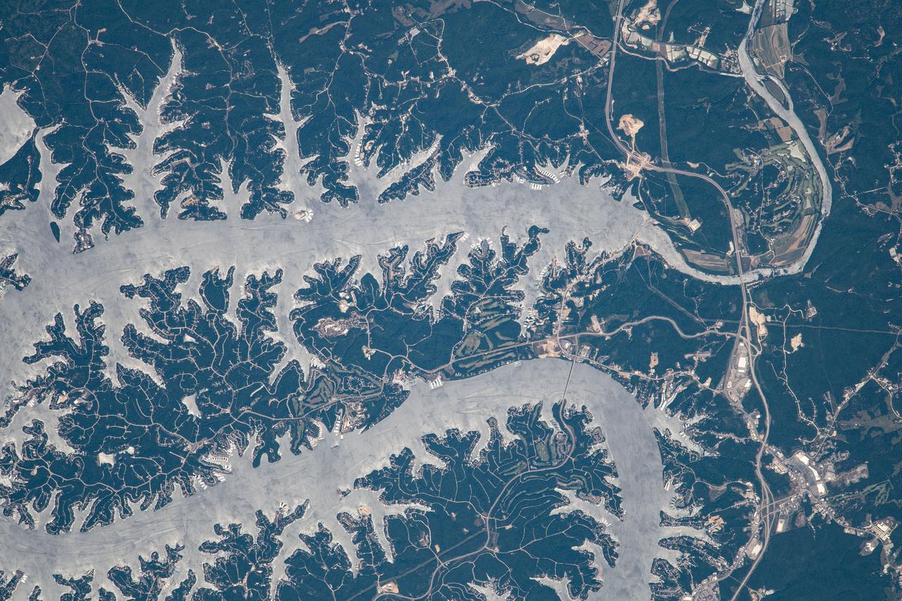 iss065e144017 (June 23, 2021) --- Lake of the Ozarks in Missouri is pictured from the International Space Station as it orbited 261 miles above the Midwestern United States.