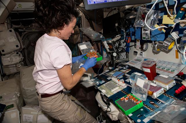 NASA image: iss065e144296